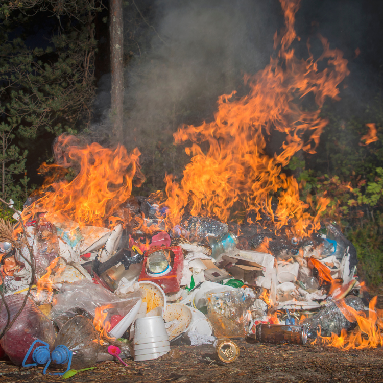 Trash Cleanup in Burleson, TX