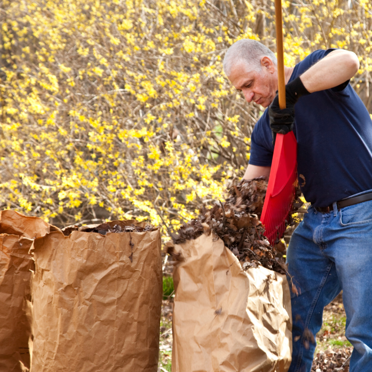 Trash Cleanup in Burleson, TX